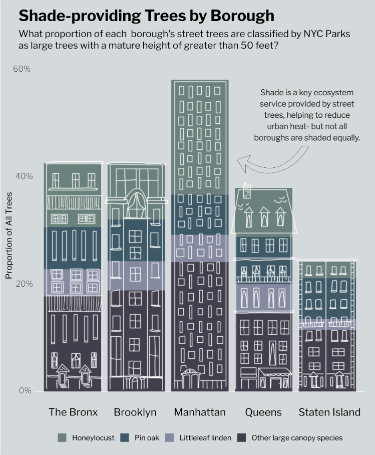 Bar chart of proportion of shade species by borough.