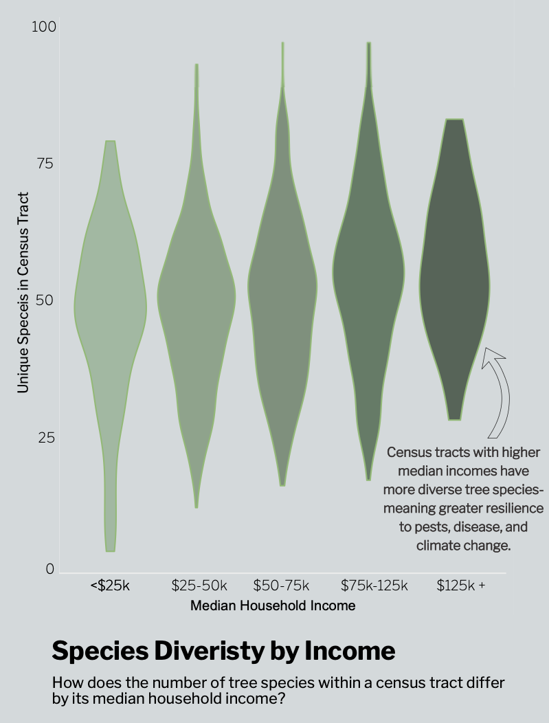 Violin plot of species diversity by income bin.