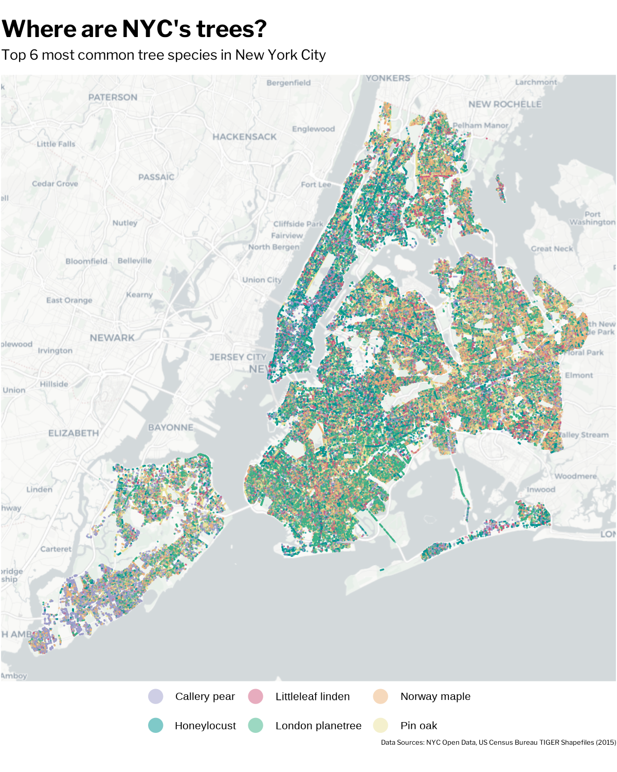 Spatial map of tree species locations.